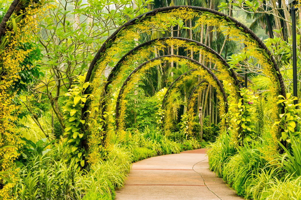 Singapore Botanic Gardens