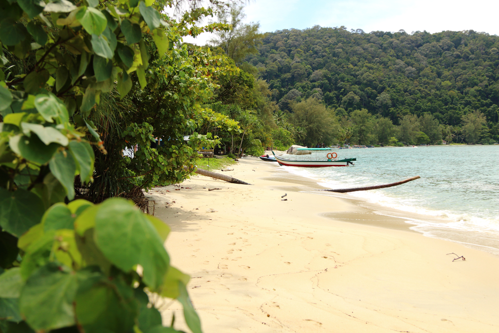 Monkey Beach
