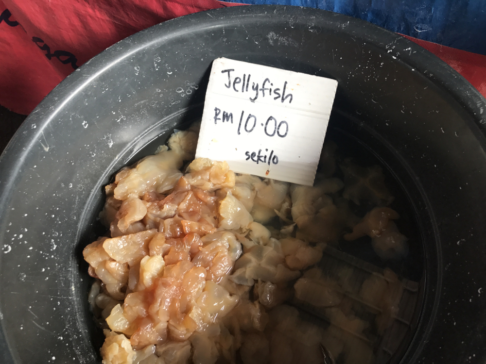 Jellyfish