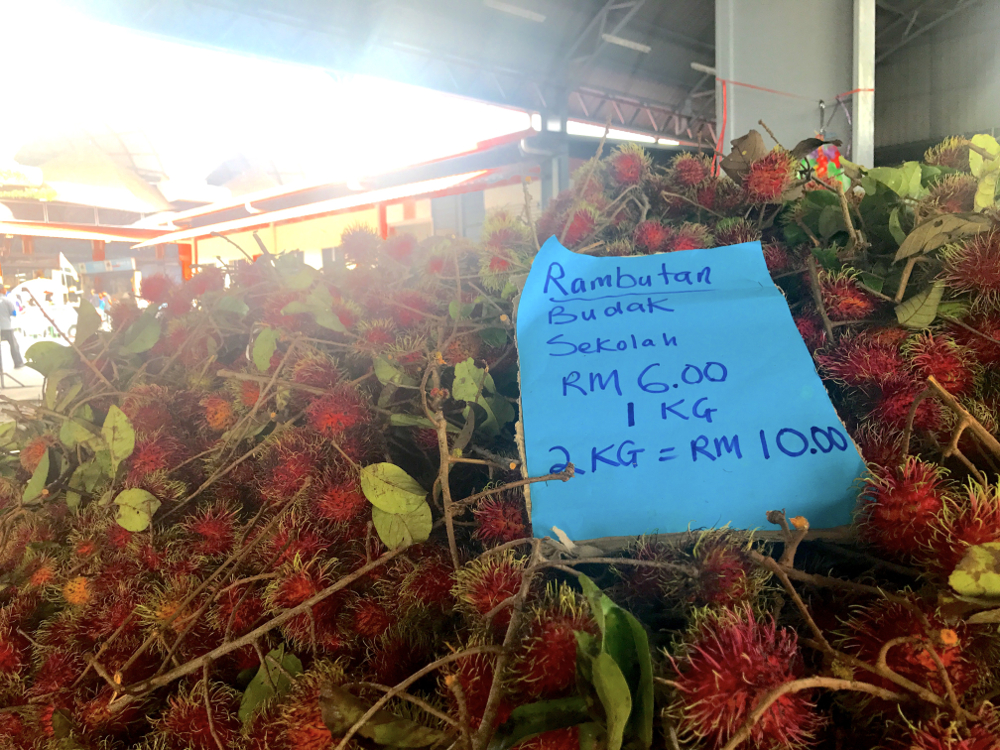 Rambutan Budak Sekolah
