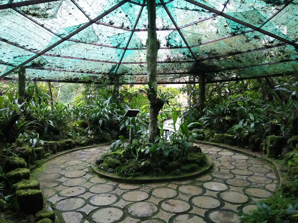 Botanical Garden