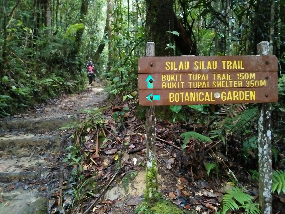 Nature Trails