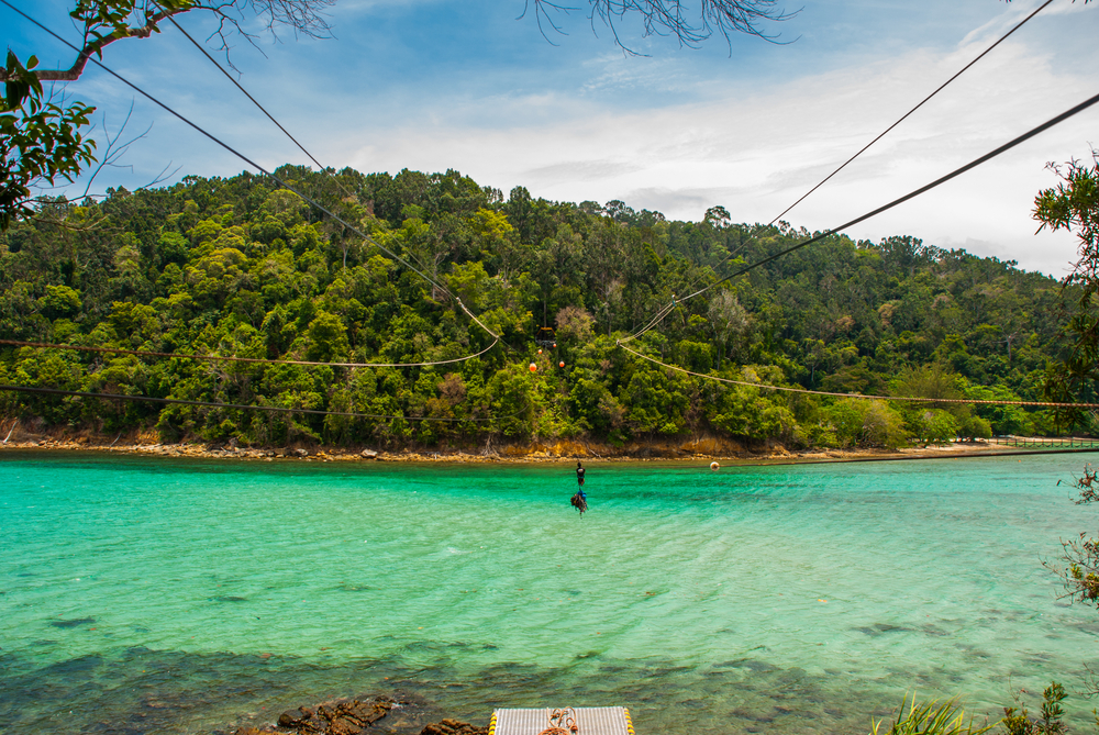 Sapi Island Coral Flyer