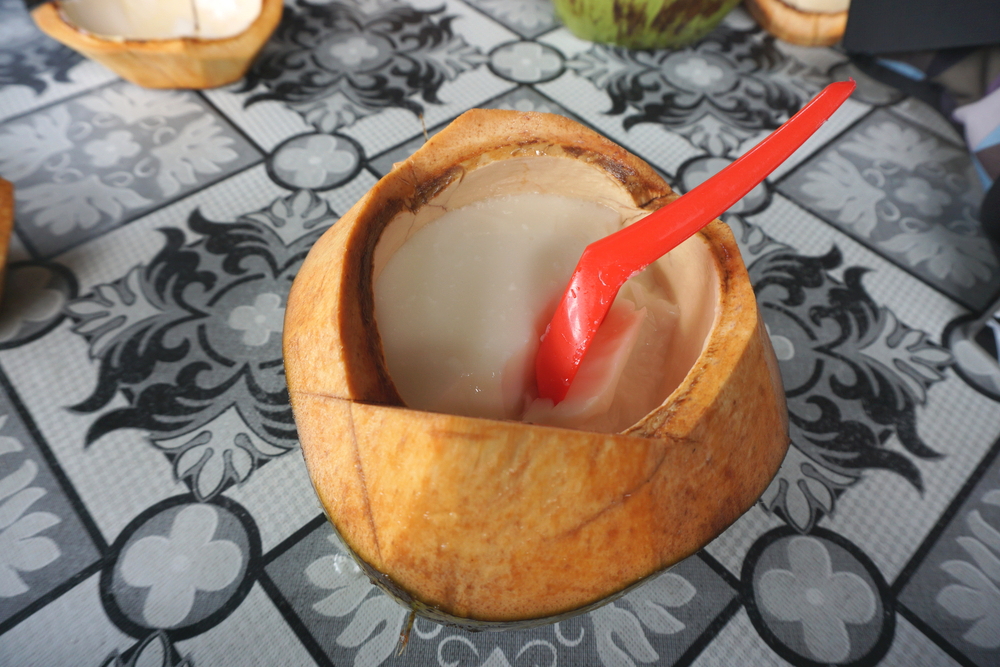 Coconut Pudding